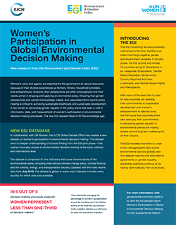 Women's Participation In Global Environmental Decision Making Cover
